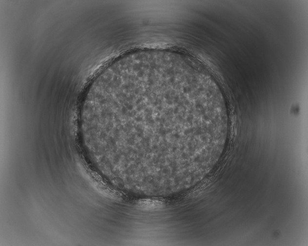 X0000114620354200912011006