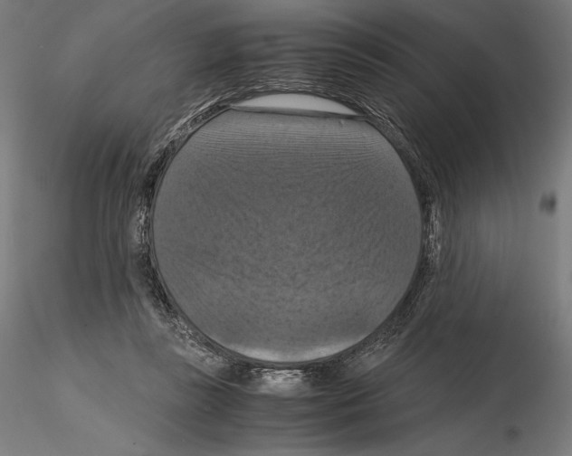 X0000114620355200912011006