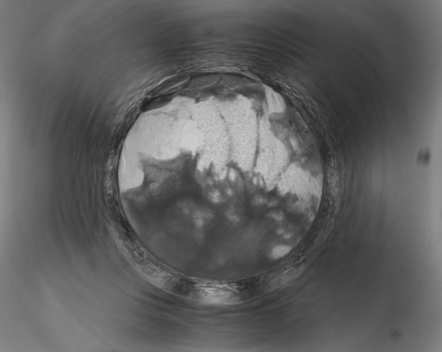 X0000114620359200912011006