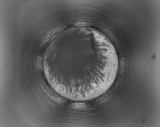 X0000114620361200912011006