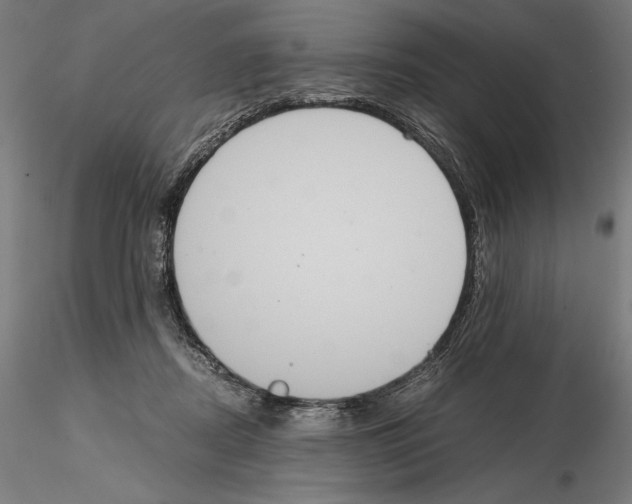 X0000114620362200912011006