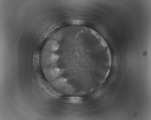 X0000114620363200912011006