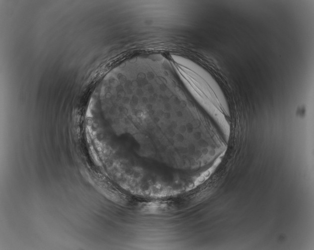 X0000114620366200912011006