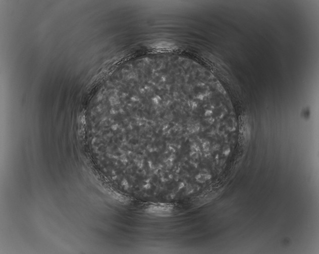 X0000114620369200912011006