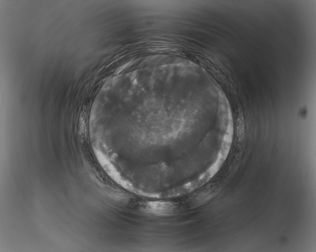 X0000114620371200912011006