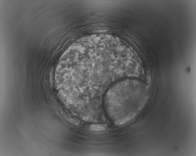 X0000114620373200912011007