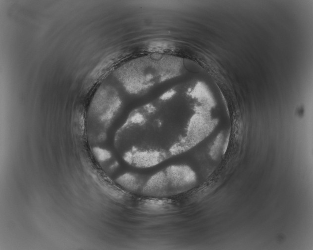 X0000114620375200912011007