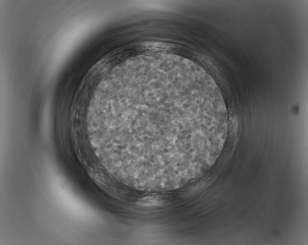 X0000114620381200912011007