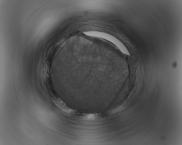 X0000114620382200912011007