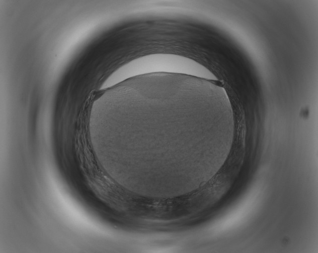 X0000114620383200912011007