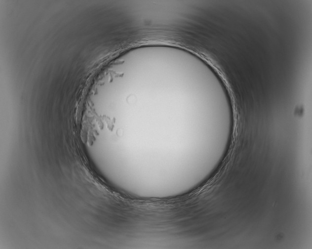 X0000114620385200912011006