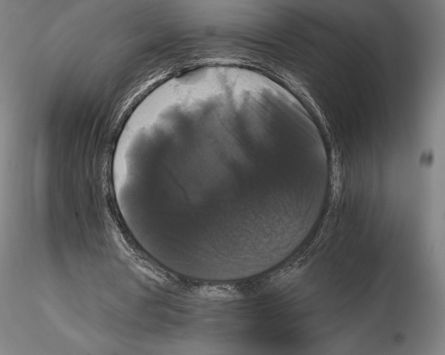 X0000114620386200912011006