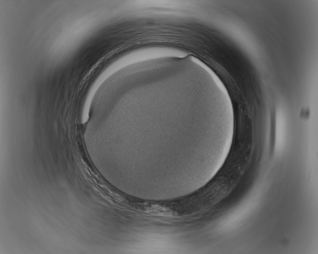 X0000114620387200912011006