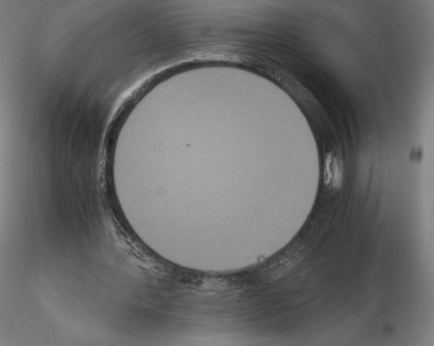 X0000114620388200912011006