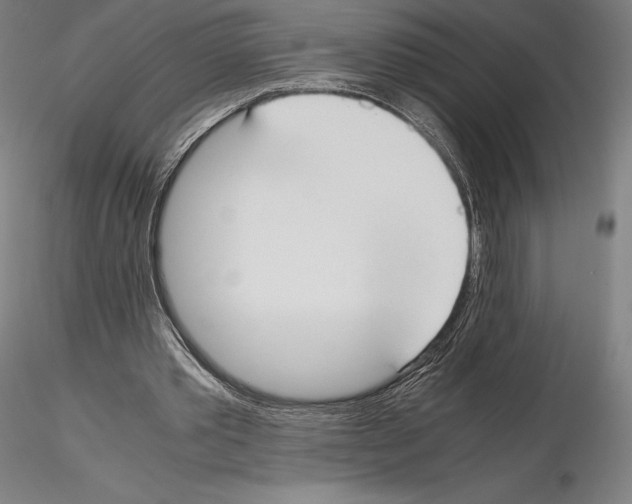 X0000114620389200912011006