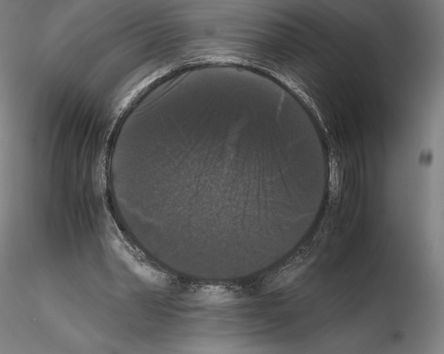 X0000114620390200912011006