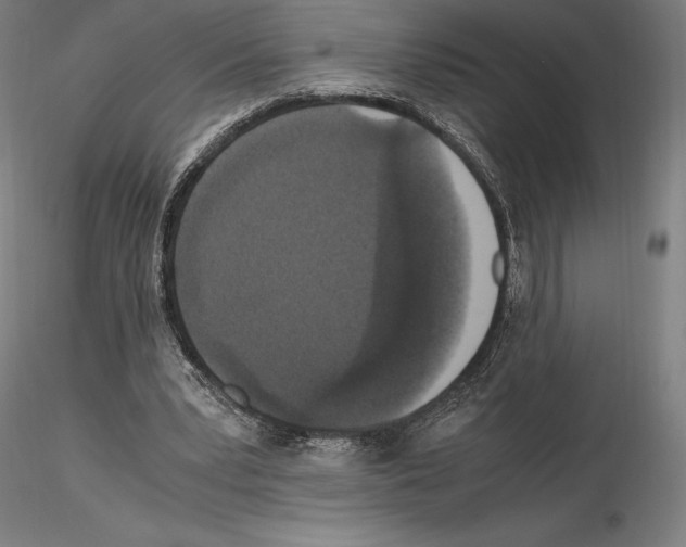 X0000114620391200912011006