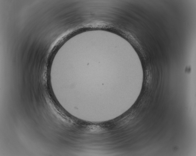 X0000114620392200912011006