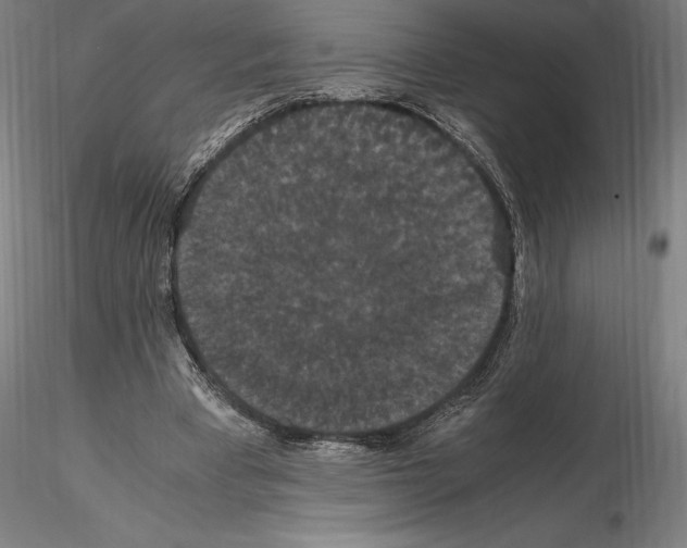 X0000114620393200912011006