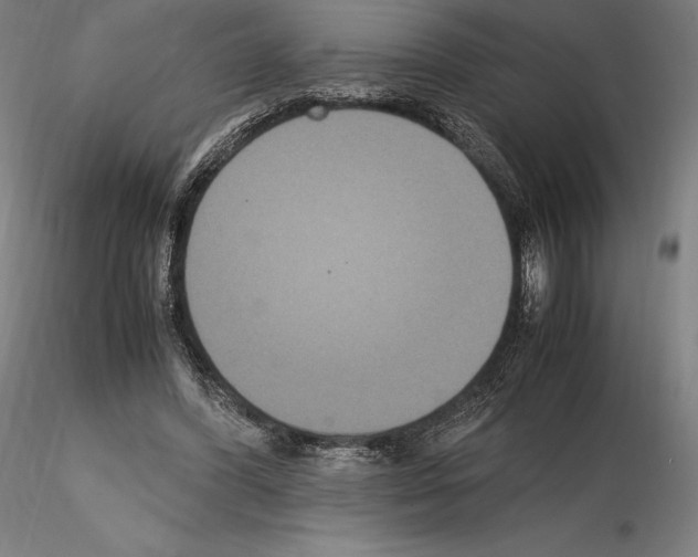 X0000114620396200912011006