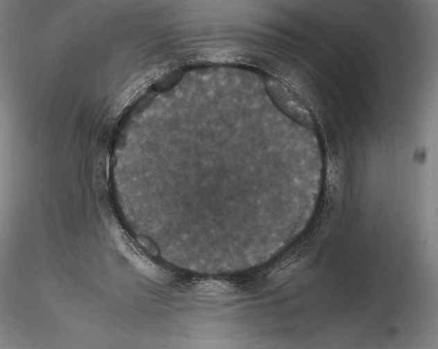 X0000114620397200912011006