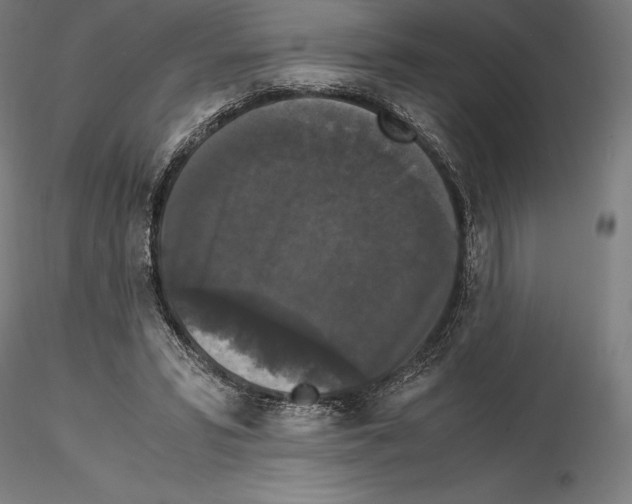 X0000114620399200912011006