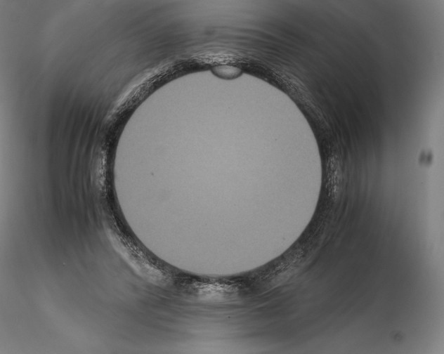 X0000114620400200912011006