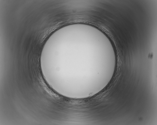 X0000114620401200912011006