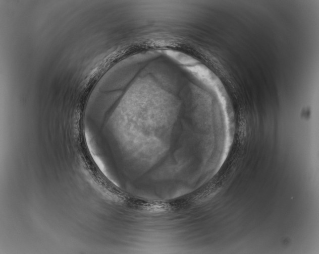 X0000114620402200912011006