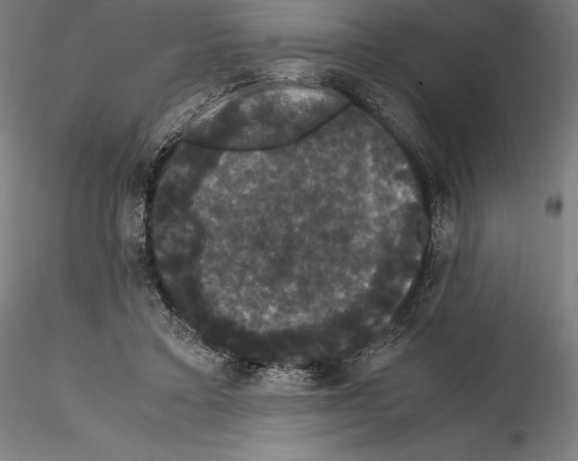 X0000114620403200912011006