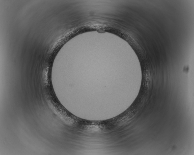 X0000114620404200912011006