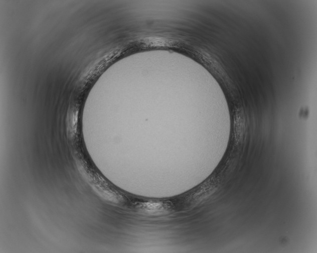 X0000114620406200912011006