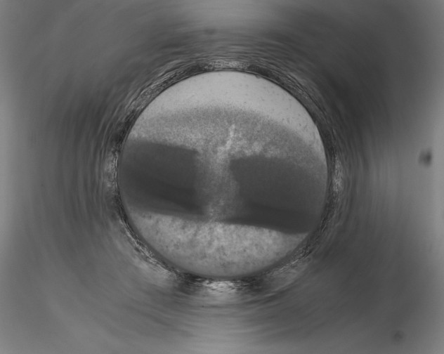 X0000114620409200912011005