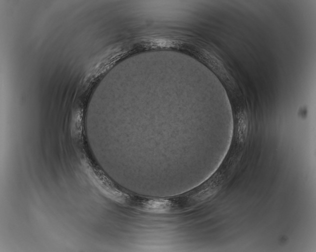 X0000114620410200912011005