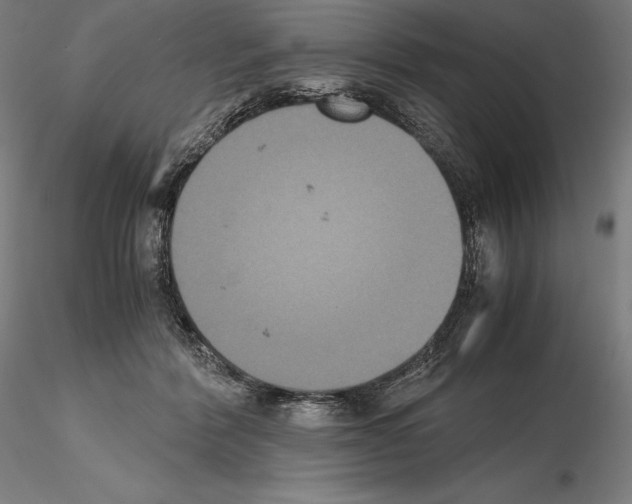 X0000114620412200912011005