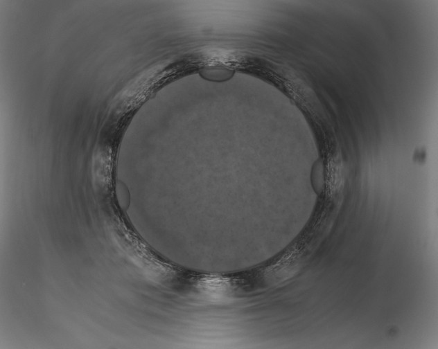 X0000114620413200912011005