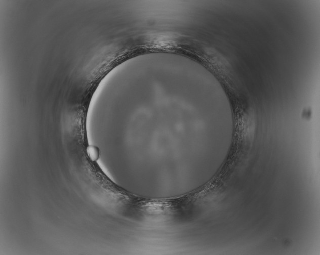 X0000114620415200912011005