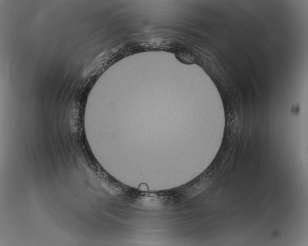 X0000114620416200912011005