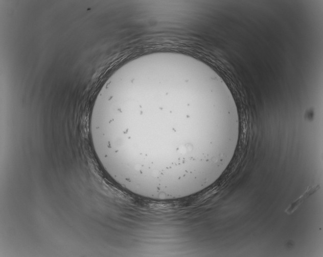 X0000114620419200912011005