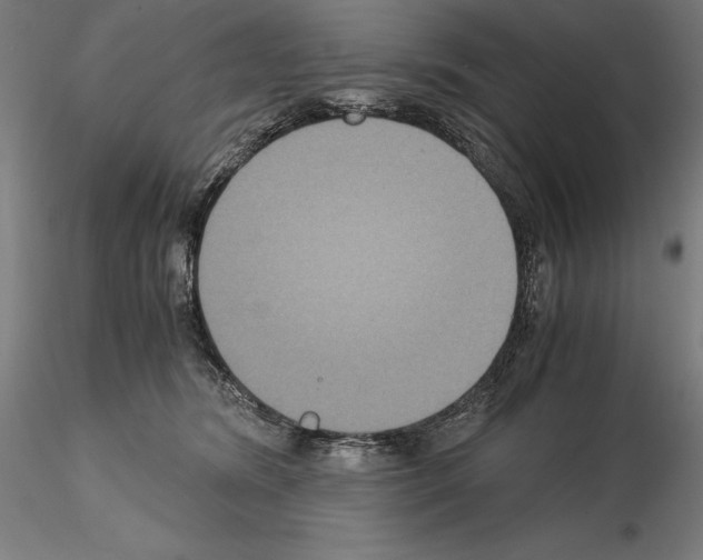 X0000114620420200912011005