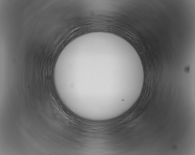 X0000114620421200912011005