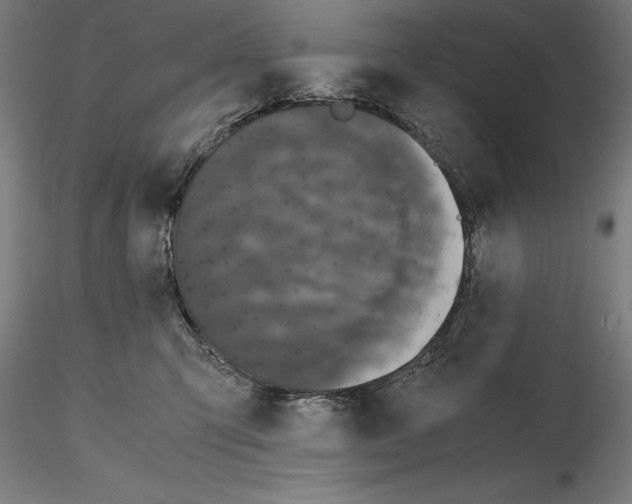 X0000114620423200912011005