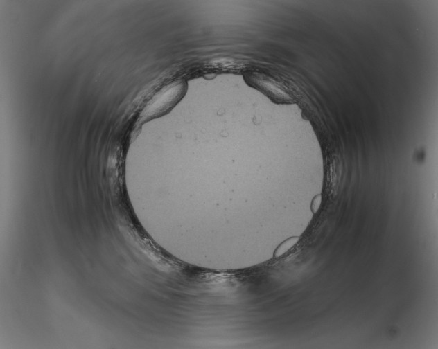 X0000114620424200912011005