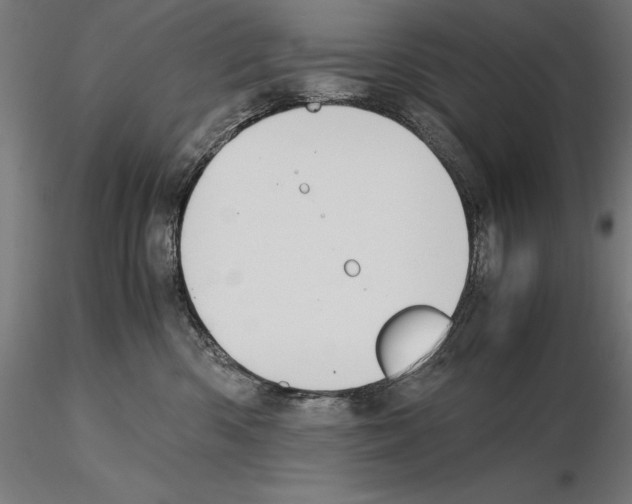 X0000114620426200912011005