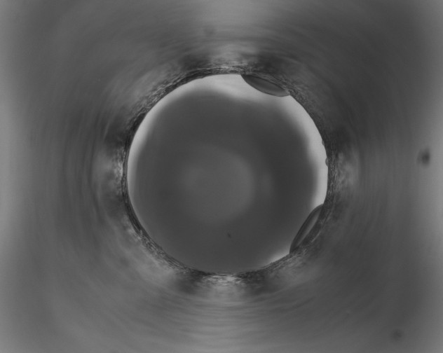 X0000114620427200912011005