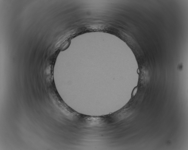 X0000114620428200912011005