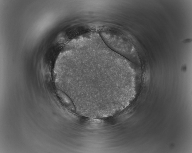 X0000114620429200912011005