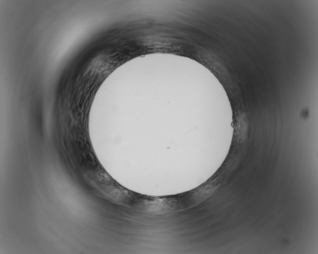 X0000114620430200912011005