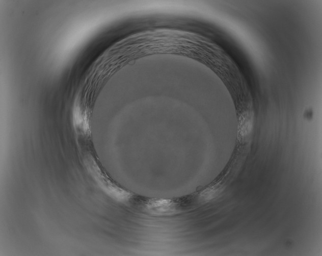 X0000114620431200912011005