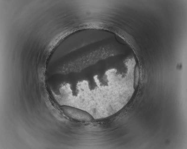 X0000114620434200912011004